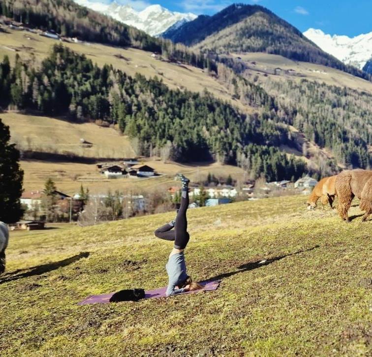 Foto für Lama trifft Yoga